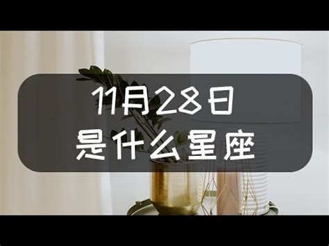 11月28號星座